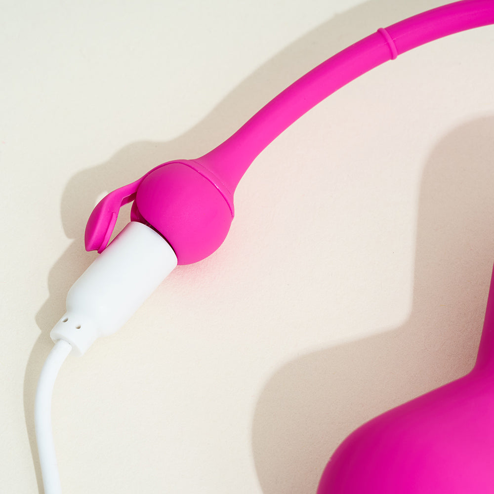 Magic Kegel Master de Magic Motion