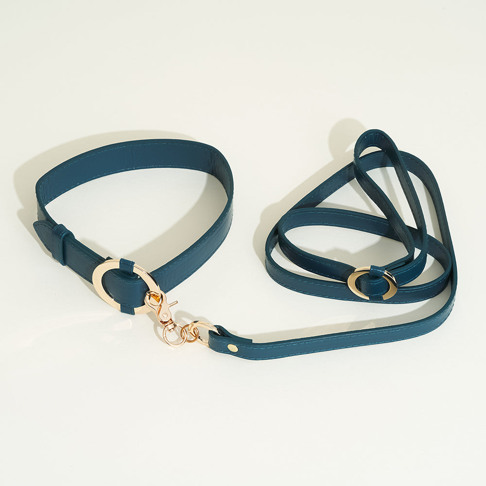 Collier et laisse Halo de Ouch !