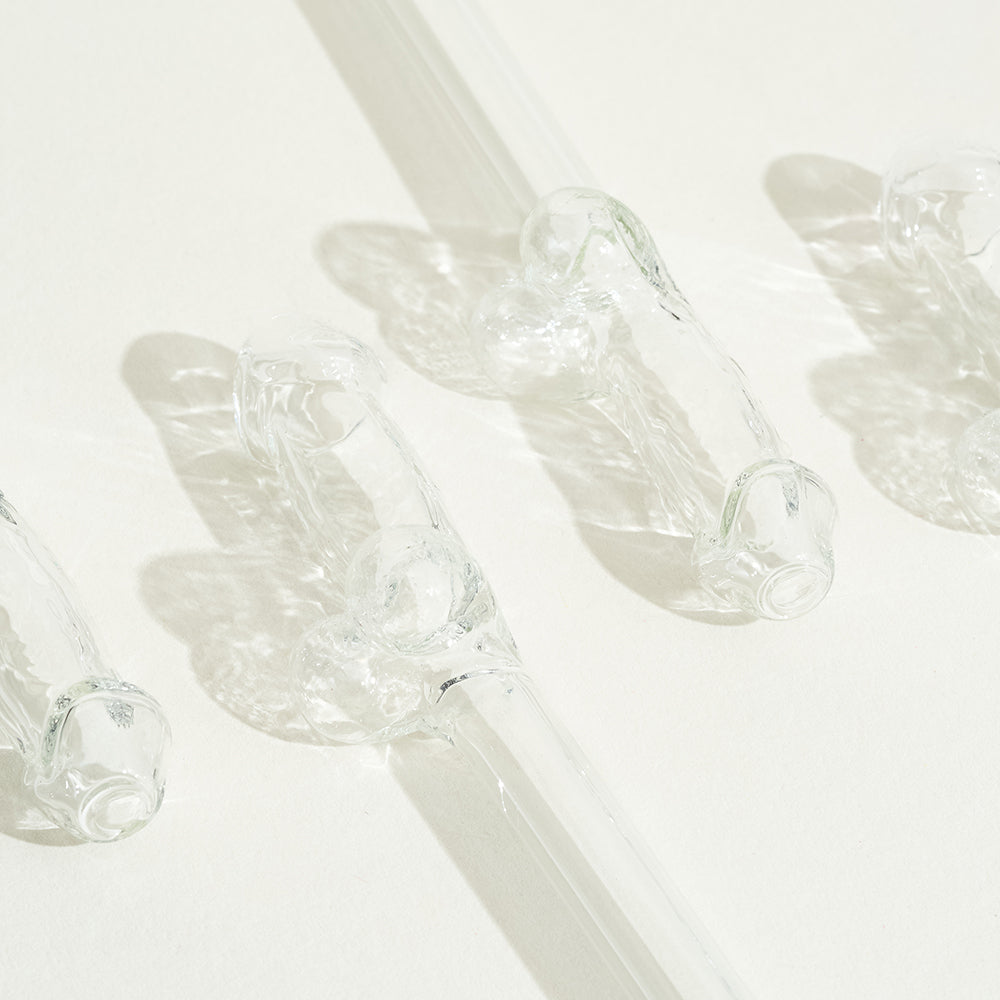 4 pailles zizi écologiques en verre