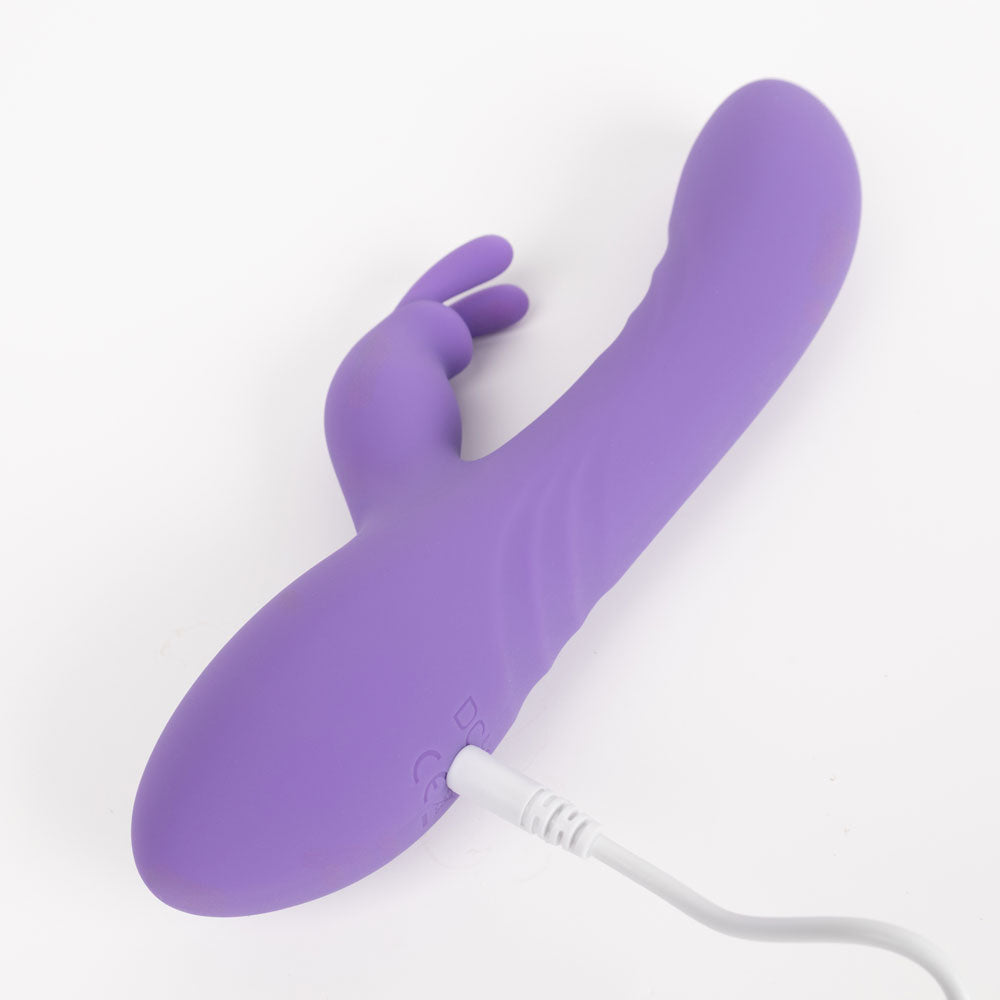 Toronto Mini Rabbit Passage du Désir