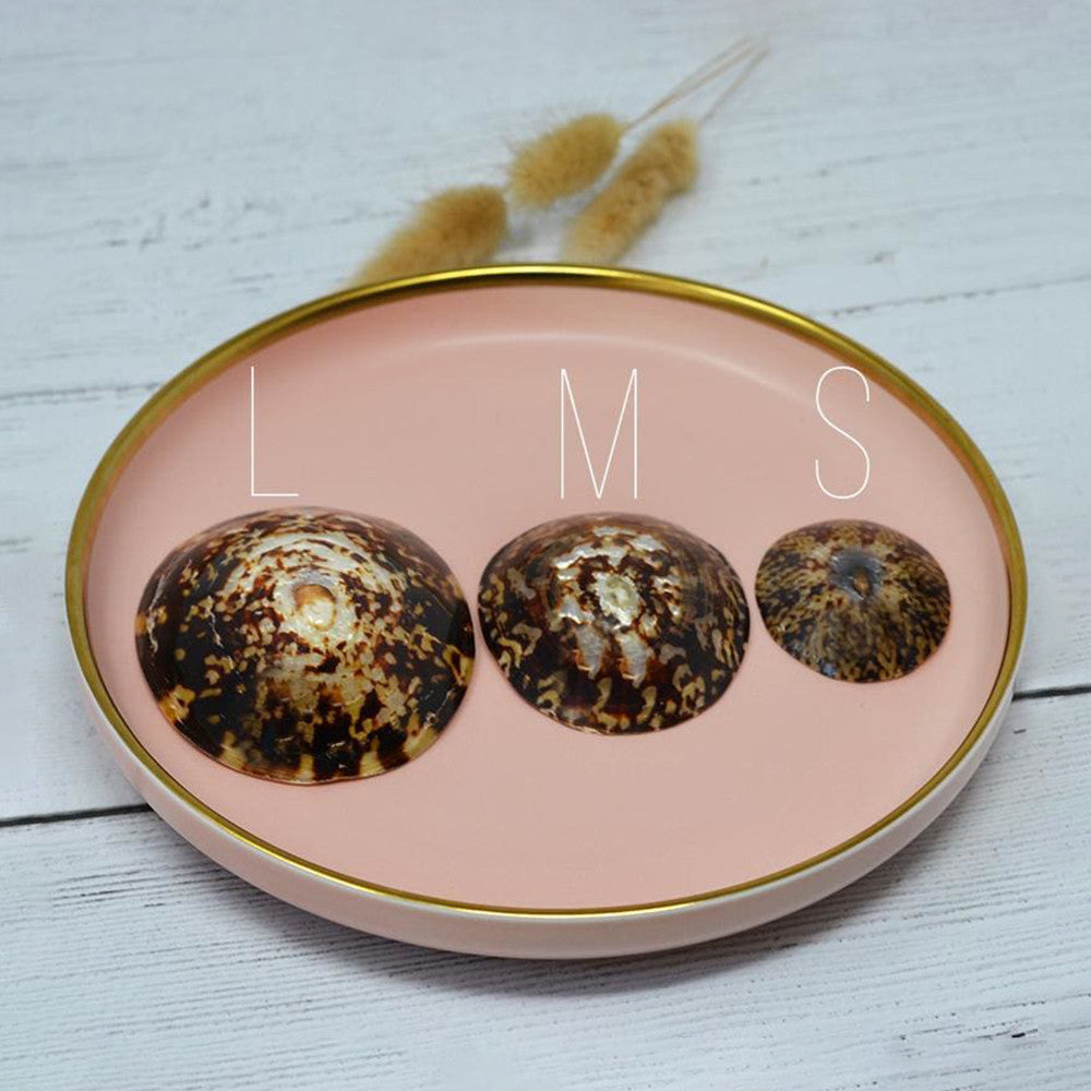 Pair of nursing shells - S