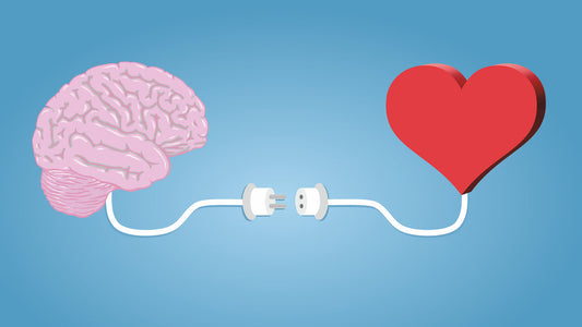 coeur et cerveau