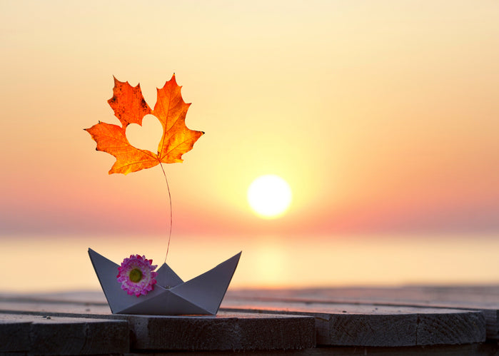 Pourquoi est - on plus fidèles en automne?