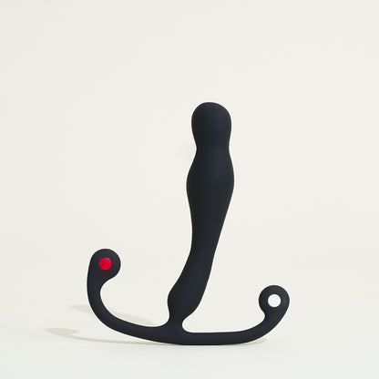 Eupho Syn prostatic stimulator Aneros