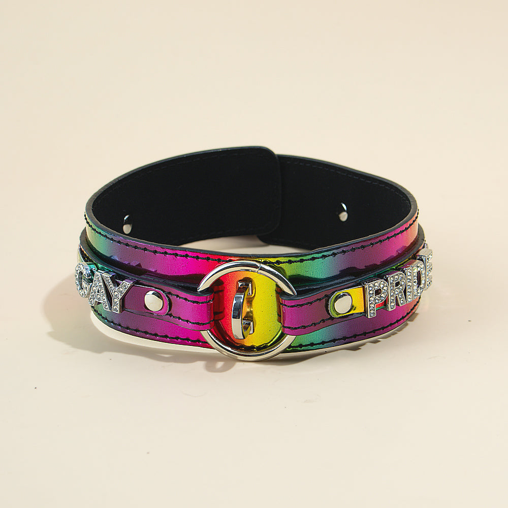 Halsband und Leine Pride