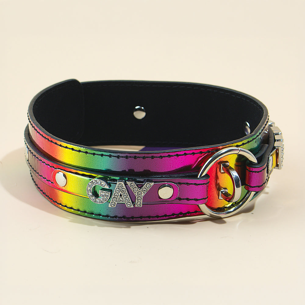 Halsband und Leine Pride