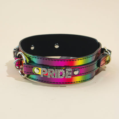 Halsband und Leine Pride