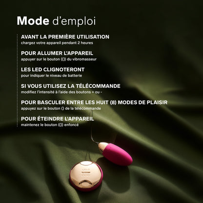 L'oeuf vibreur Lyla 2 de Lelo - Violet