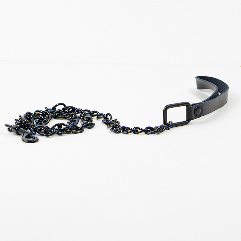 Collier et laisse Balade-moi - Argent