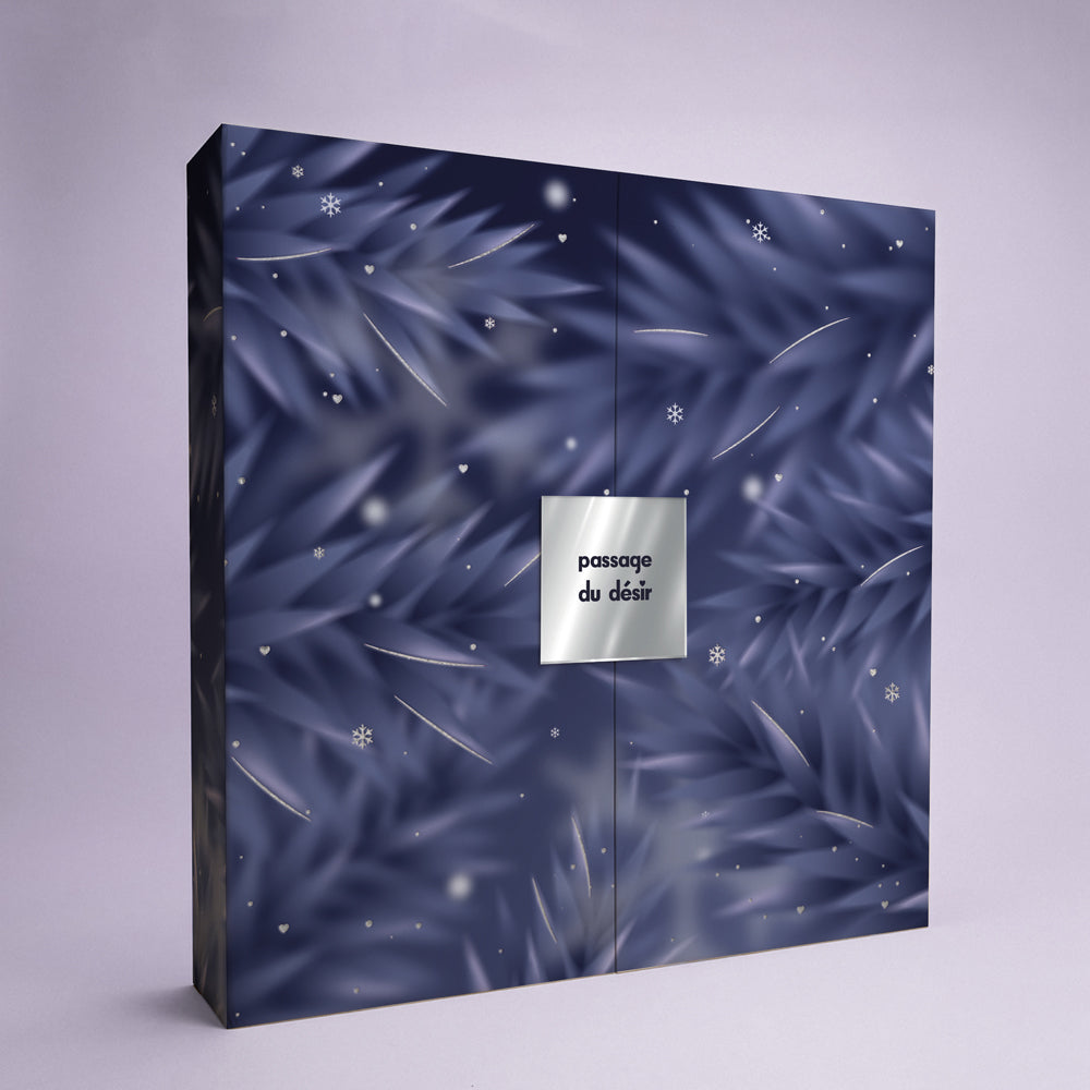 Calendrier de l'Avent 2026 pour couple Premium x Womanizer
