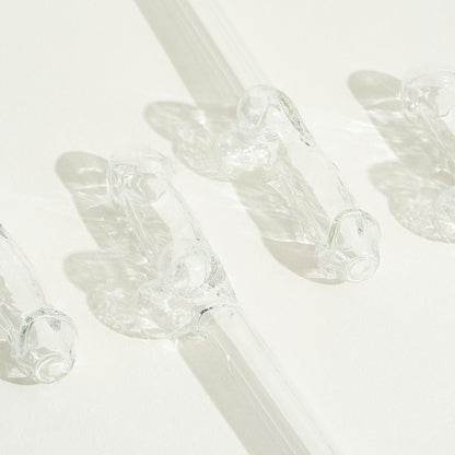 4 pailles zizi écologiques en verre