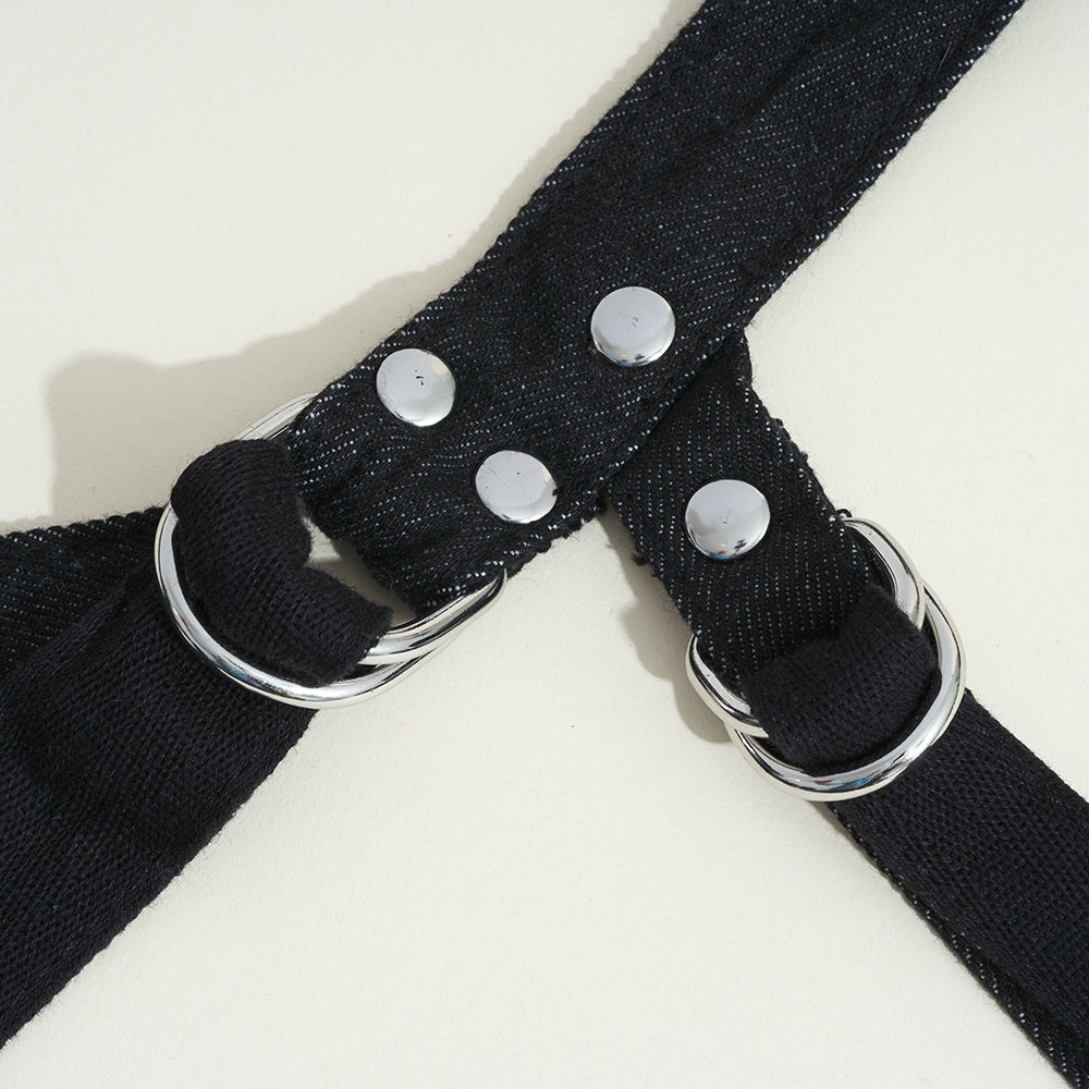 Astrap Moi Comfort Harness.