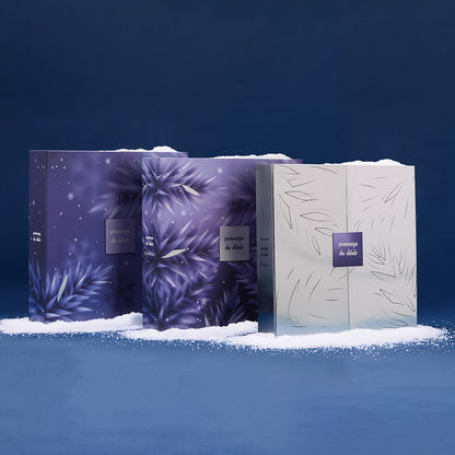 Premium-Adventskalender 2026 - Passage du Désir x Womanizer