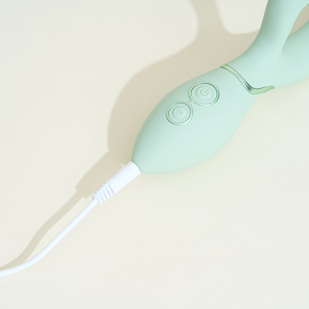 Rabbit special zone G Hawaii of HYYO 