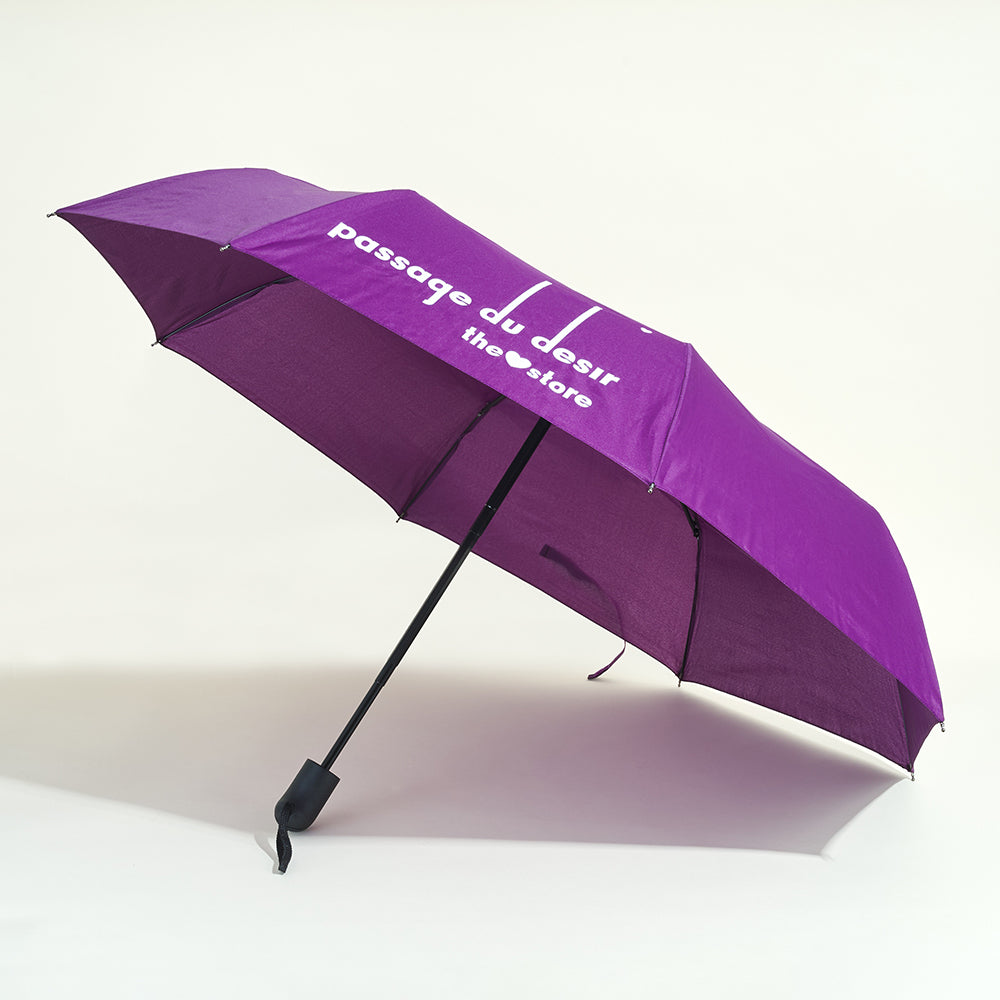 Umbrella Passage du Désir