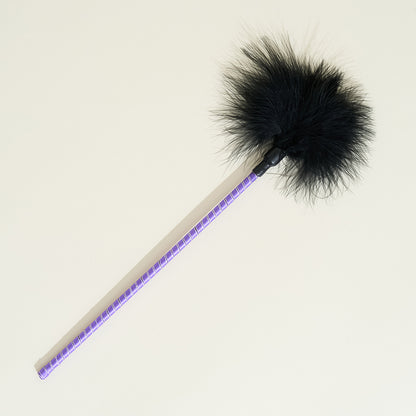 Plume "Plime Ploume" Passage du Désir