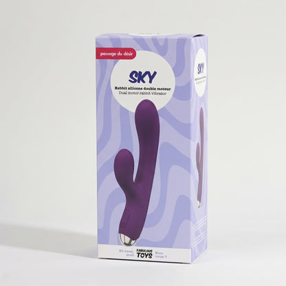 Sky dual-motor silicone rabbit
