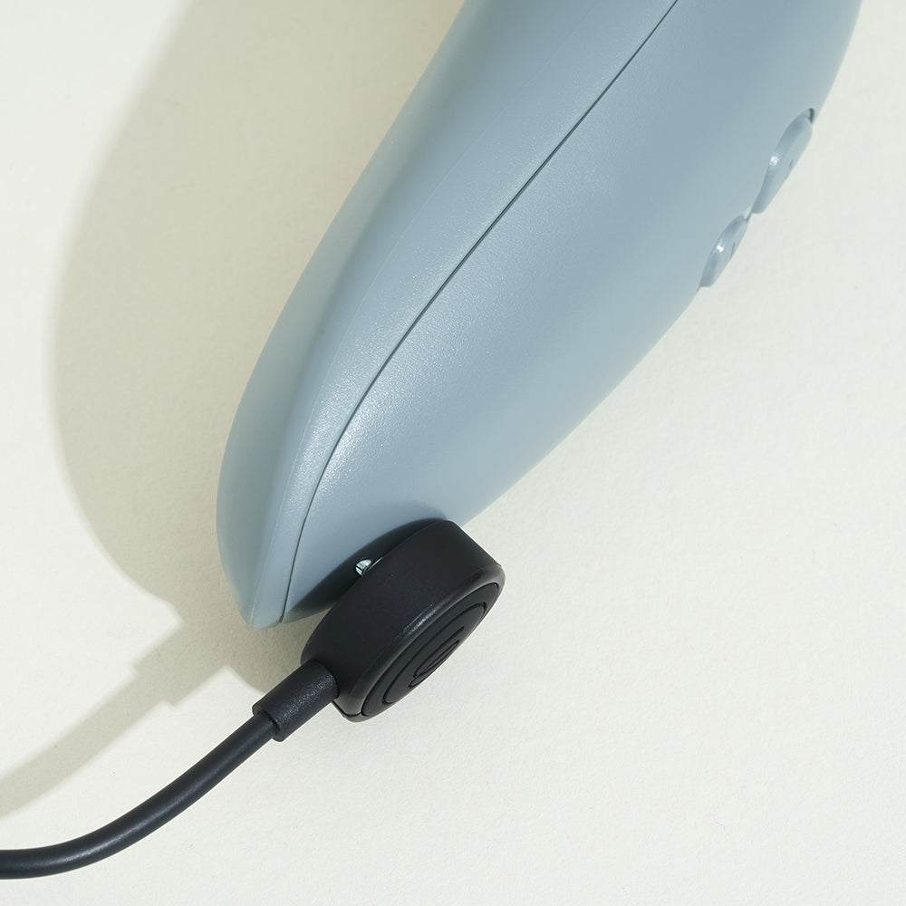 Womanizer Starlet 3 - Gray