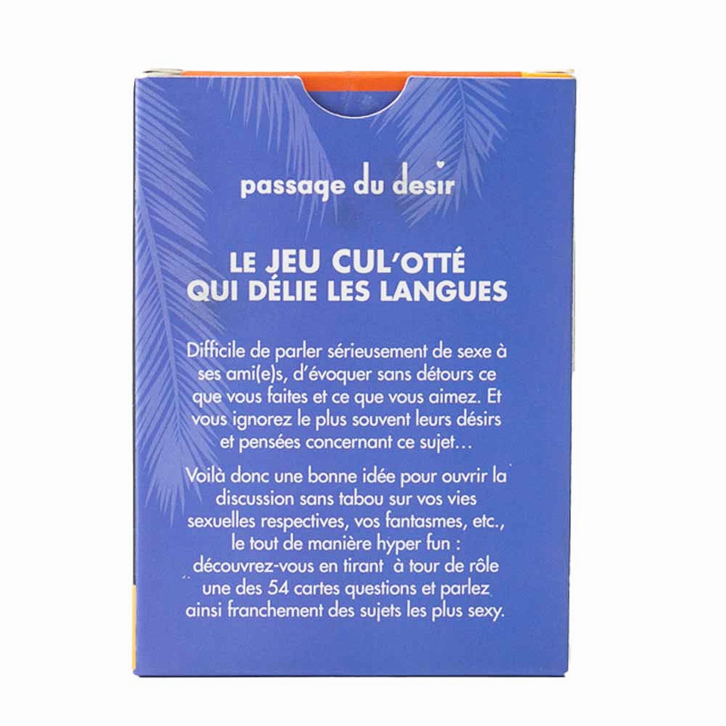 Let’s Talk About Sex: Summer Edition — Passage du Désir - Let's Talk Q Summer Edition game Passage du Désir