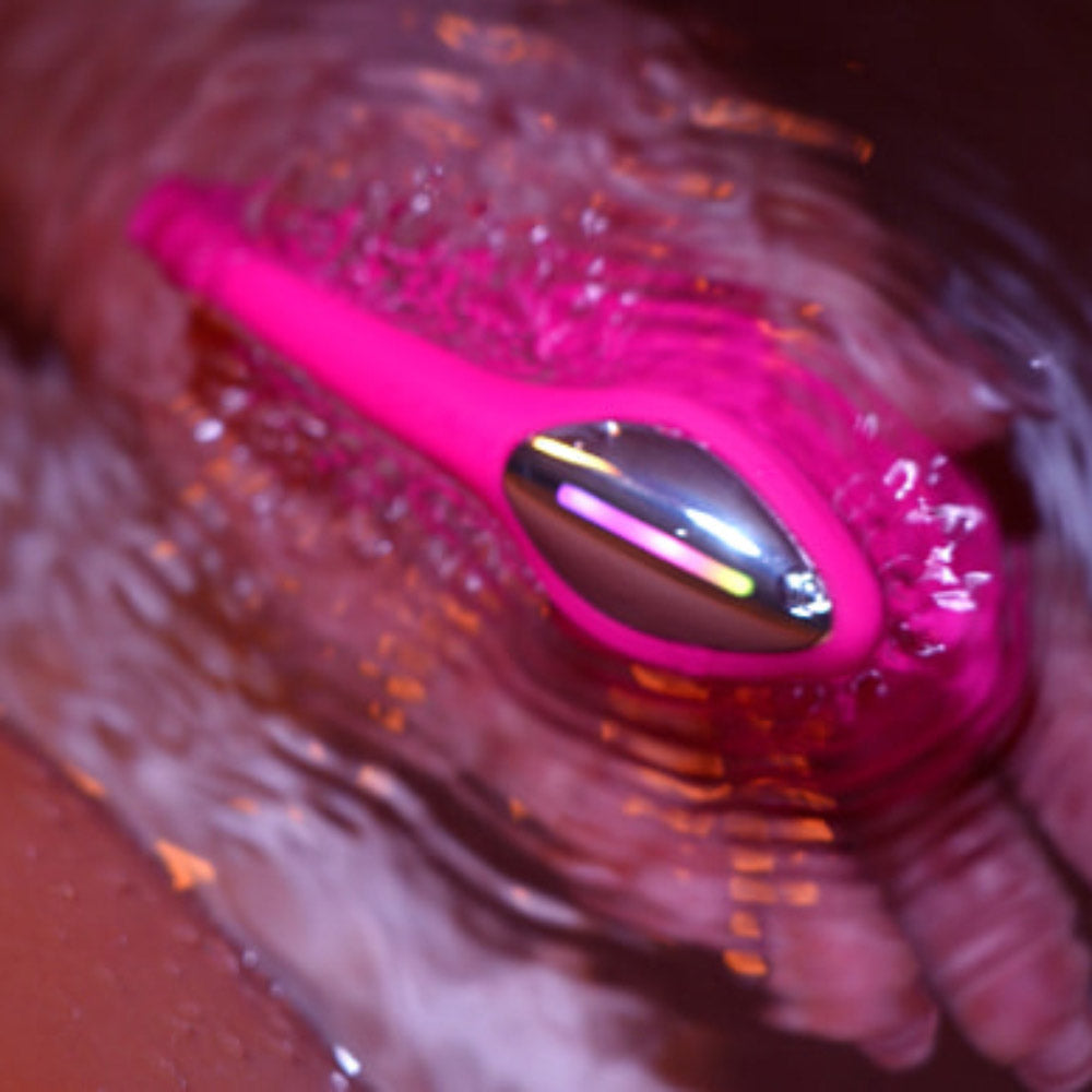 Lush 4 von Lovense