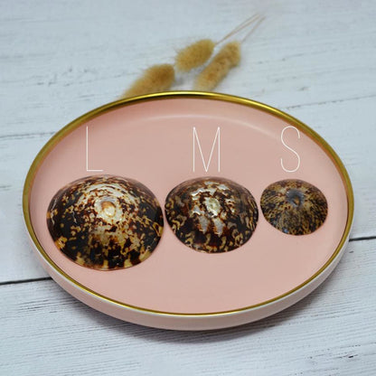 Pair of nursing shells - S