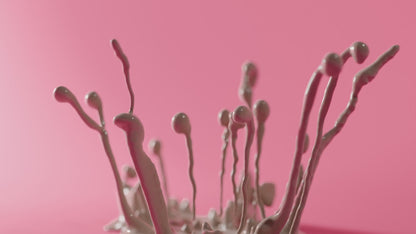 Boo de Biird x Jouissance Club