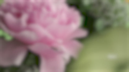 Womanizer Premium Eco